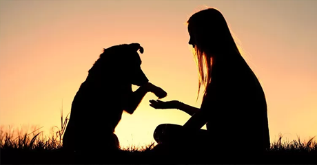 Una donna e un cane