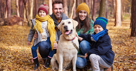 Cane con la sua famiglia in un bosco.