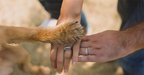 Mano di un uomo, mano di una donna e zampa di un cane.