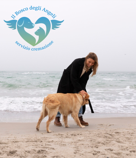Cane con il suo padrone sulla spiaggia