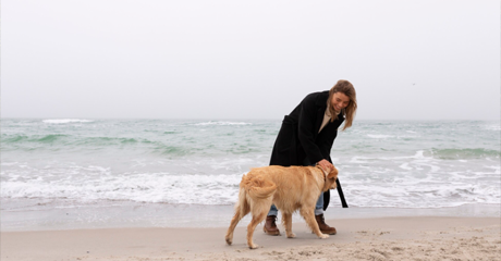 Cane con il suo padrone sulla spiaggia