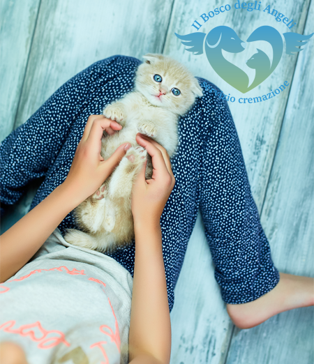 Cremazione animali in provincia di Salerno