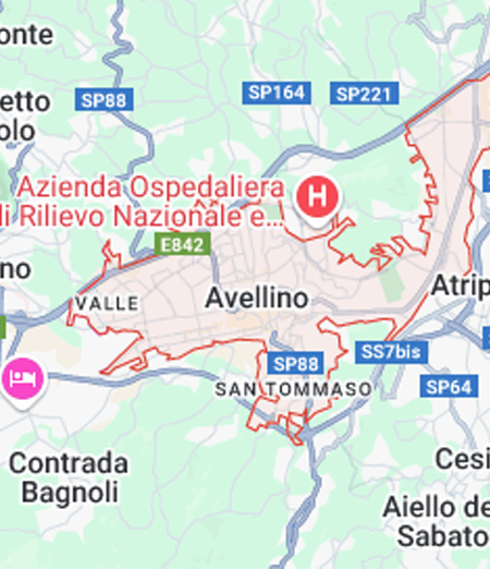 Cremazione Animali ad Avellino e provincia