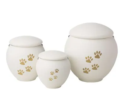 Urne personalizzate per animali